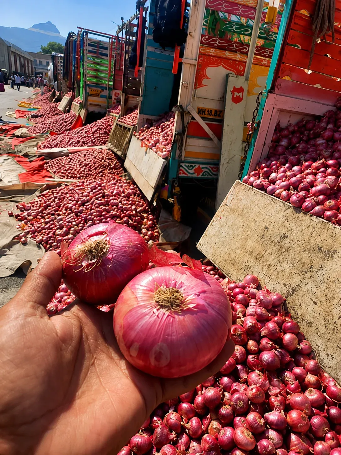 Onion Product