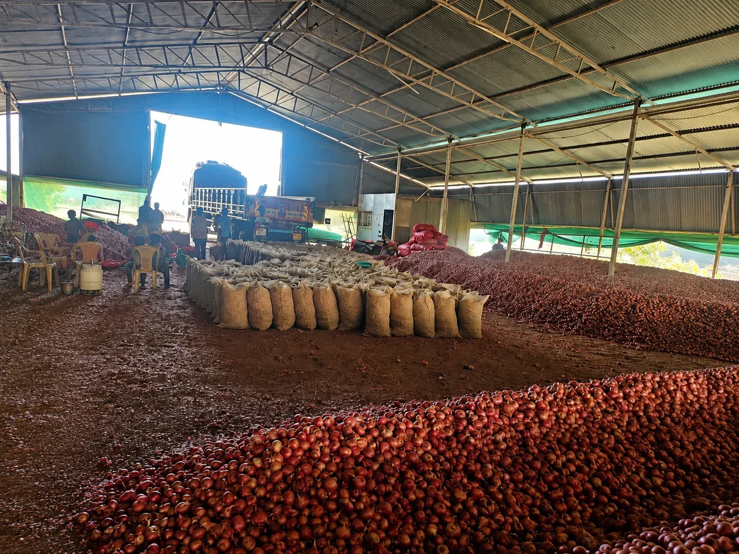 Onion Product